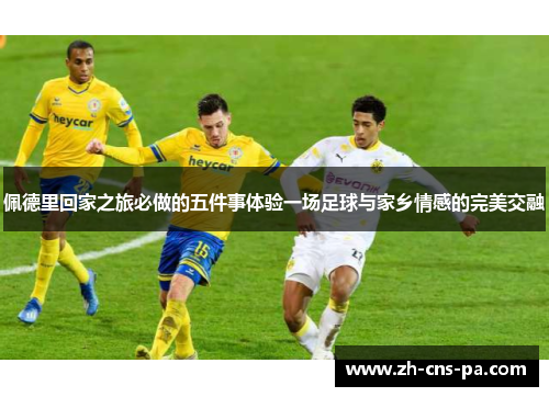 佩德里回家之旅必做的五件事体验一场足球与家乡情感的完美交融