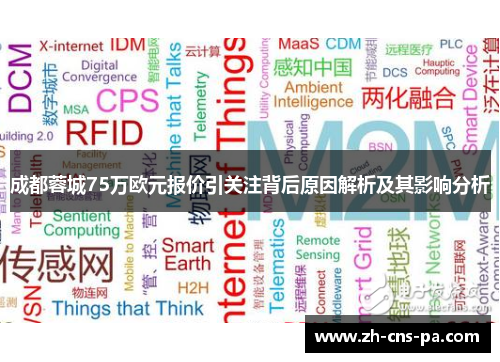 成都蓉城75万欧元报价引关注背后原因解析及其影响分析