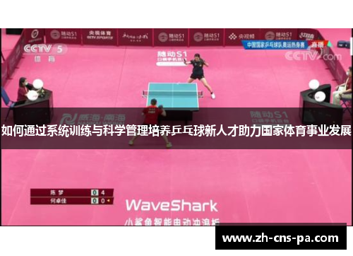 如何通过系统训练与科学管理培养乒乓球新人才助力国家体育事业发展