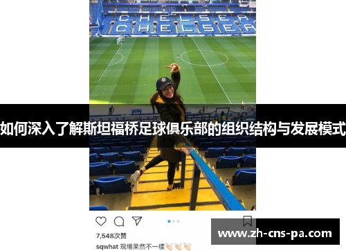 如何深入了解斯坦福桥足球俱乐部的组织结构与发展模式 如何深入了解斯坦福桥足球俱乐部的组织结构与发展模式