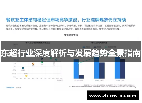 东超行业深度解析与发展趋势全景指南