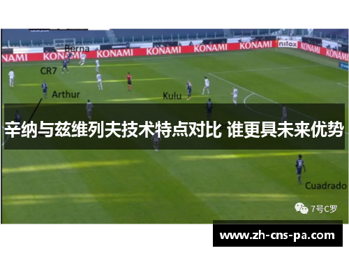 辛纳与兹维列夫技术特点对比 谁更具未来优势