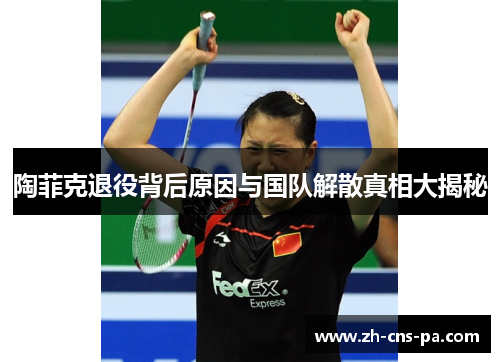 陶菲克退役背后原因与国队解散真相大揭秘